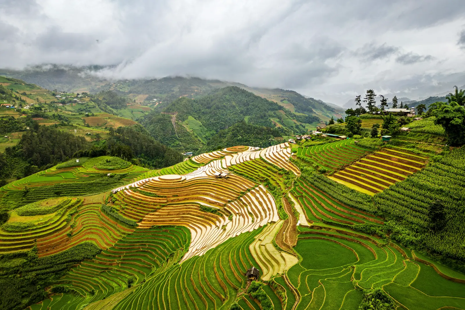 Y Tý mùa nước đổ — Bốn ngày ở vùng xa nhất: ruộng đầy nước, nhà trình tường Hà Nhì và rừng già Lao Chải.