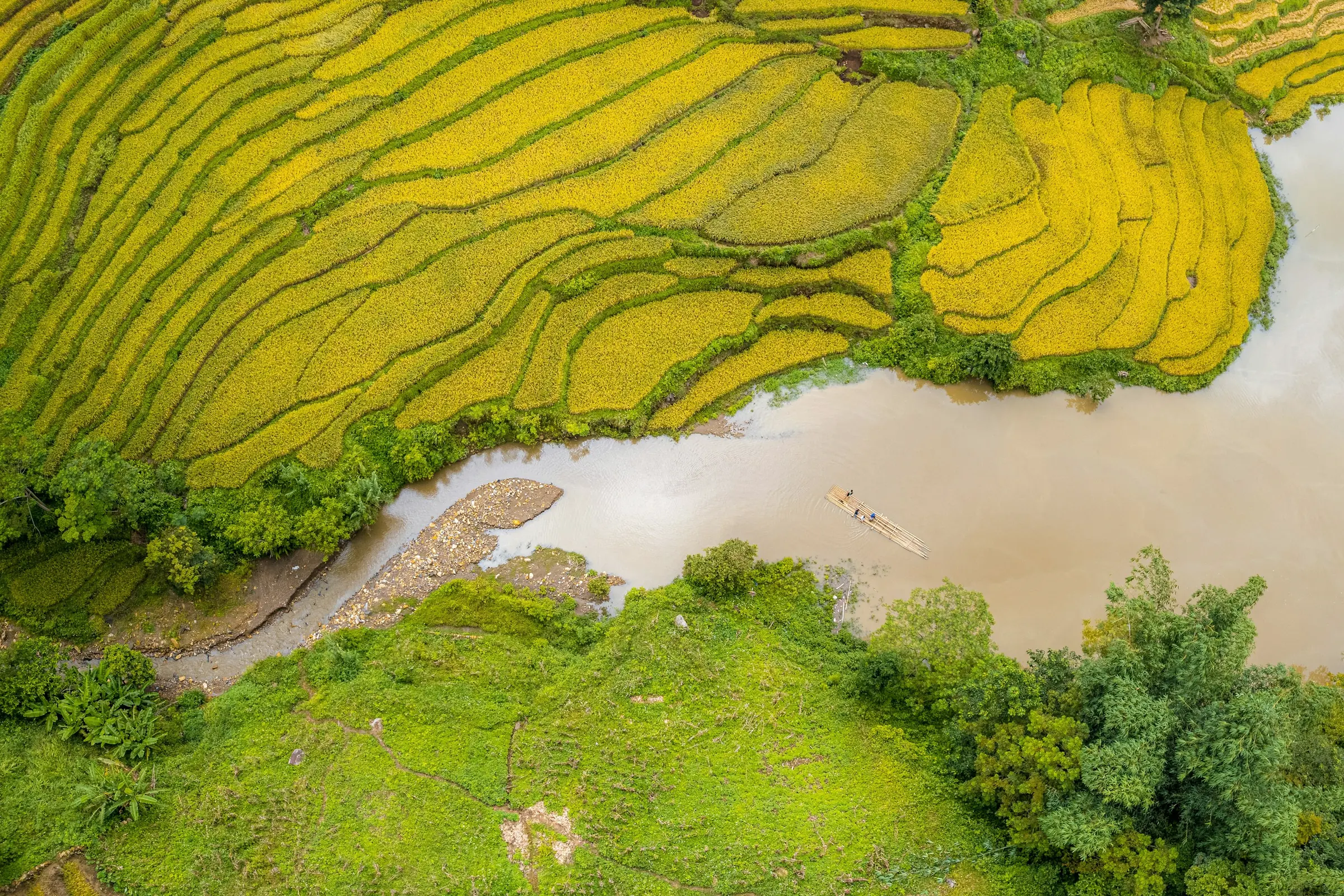 Ruộng bậc thang chín vàng trải dọc sườn núi Tây Bắc, một dòng suối nhỏ uốn khúc dưới thung lũng vào buổi chiều
