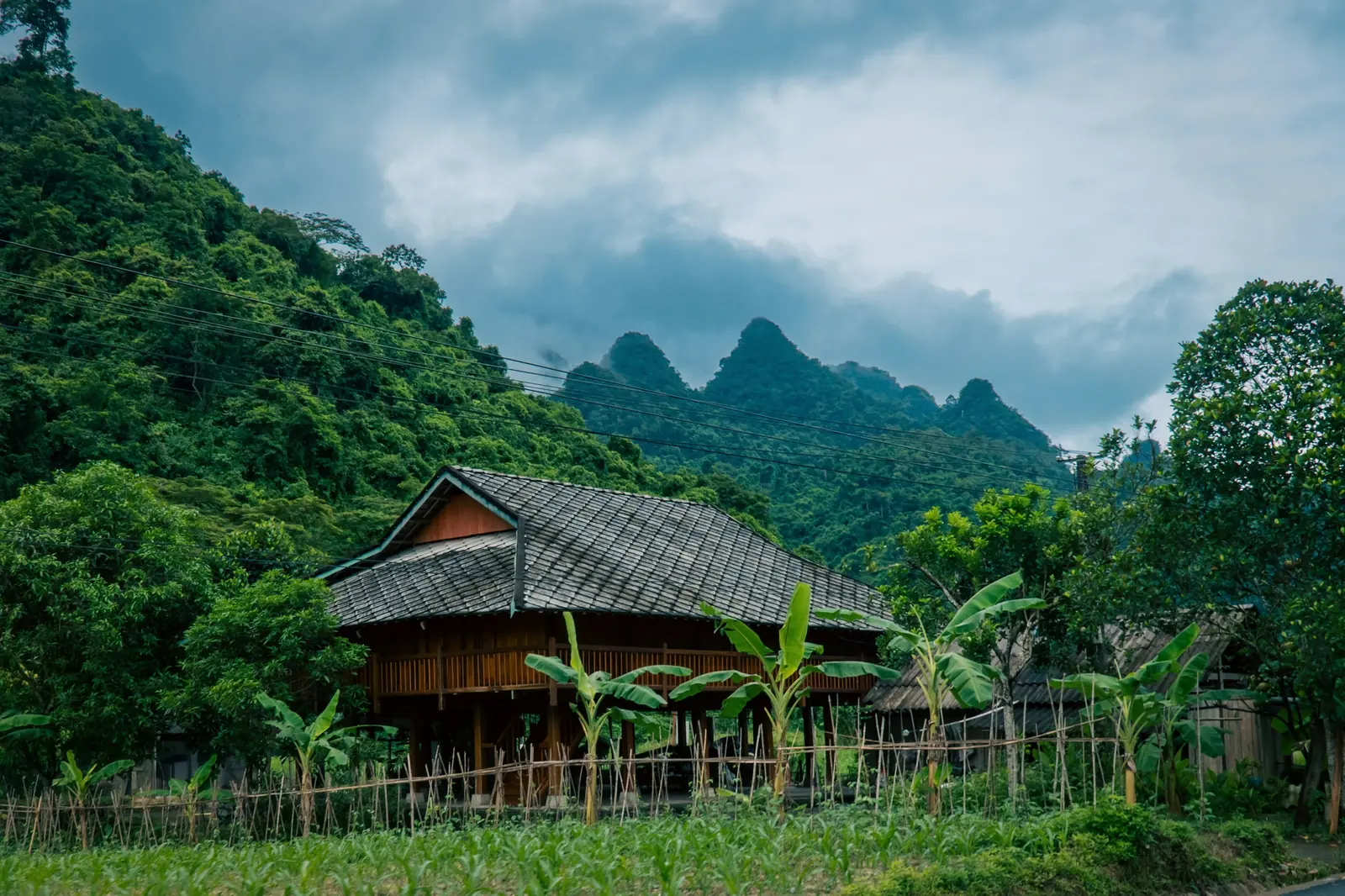 Mai Châu, Hoà Bình — 300 – 800 m