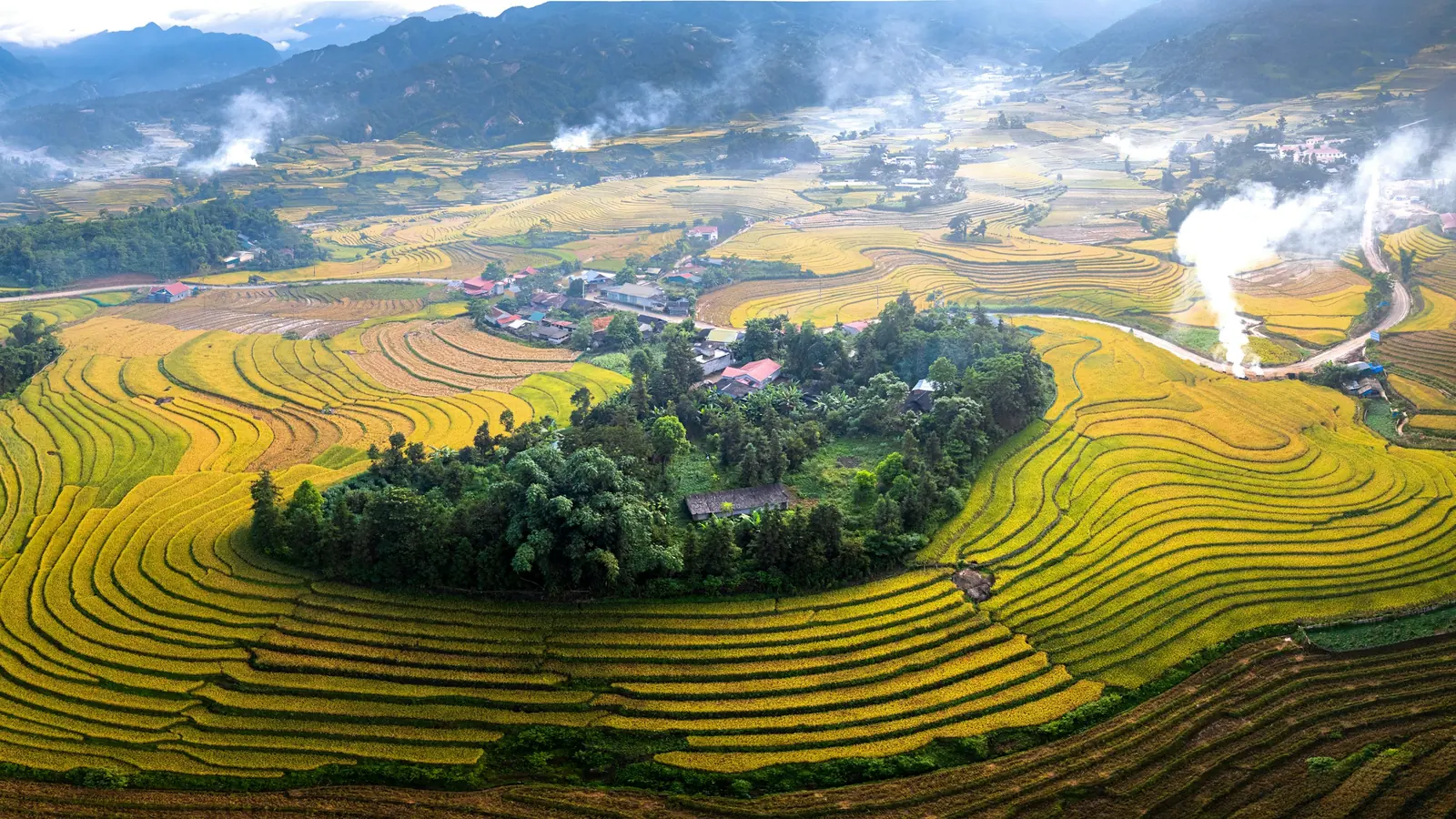 Mùa lúa chín — Bốn tuần vàng rực của Tây Bắc, cũng là mùa đông khách nhất trong năm.