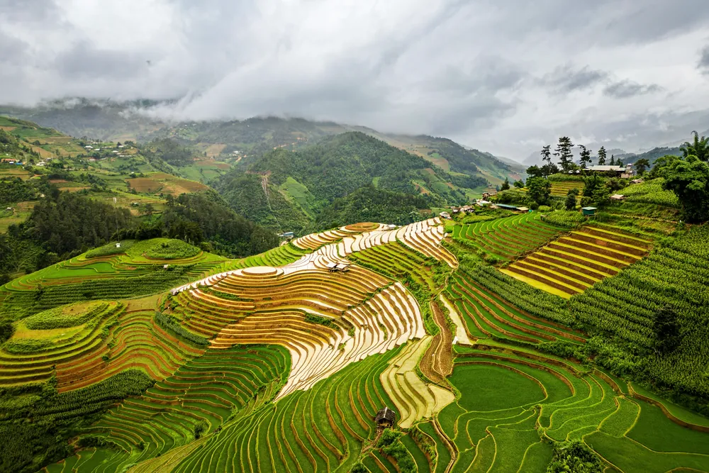 Y Tý mùa nước đổ — Bốn ngày ở vùng xa nhất: ruộng đầy nước, nhà trình tường Hà Nhì và rừng già Lao Chải.