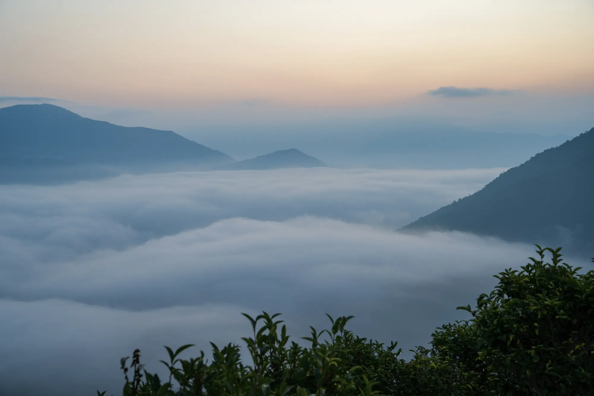 Phong cảnh Tà Xùa, Sơn La